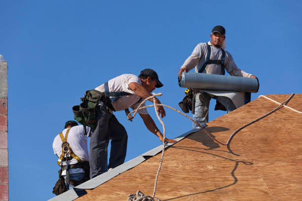 Best Storm Damage Roof Repair  in Fort Thomas, KY